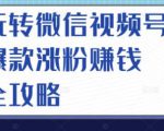 玩转微信视频号爆款涨粉赚钱全攻略，让你快速抓住流量风口，收获红利财富-林文副业站