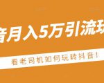 老古董·抖音月入5万引流玩法，看看老司机如何玩转抖音(附赠：抖音另类引流思路)-林文副业站
