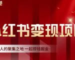 渣圈学苑·小红书虚拟资源变现项目，一起捞钱掘金价值1099元-林文副业站