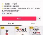 国潮壁纸变现项目，新手可操作日赚200+【素材+软件+教程】-林文副业站