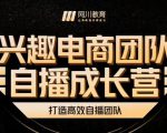 兴趣电商团队自播成长营，解密直播流量获取承接放大的核心密码-林文副业站