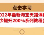 樊剑2022年最新淘宝天猫课程-转化率至少提升200%系列教程(高级)-林文副业站