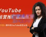 外国人眼中的YouTube该怎么玩？Elisa·YouTube运营推广实战技巧-林文副业站