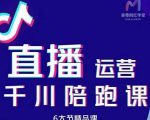 美尊-抖音直播运营千川系统课：直播​运营规划、起号、主播培养、千川投放等-林文副业站