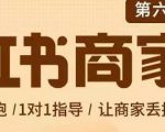 贾真-小红书商家营第6期商家版，21天带货陪跑课，让商家丢掉付流量-林文副业站