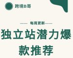 【跨境B哥】独立站潜力爆款选品推荐，测款出单率高达百分之80-林文副业站