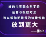 张sir账号流量增长课，告别海王流量，让你的流量更精准-林文副业站