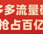 阿杰·拼多多流量破局:如何打黑标，爆款的思路，拼多多流量框架，快速抢占百亿流量-林文副业站