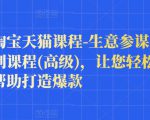 樊剑淘宝天猫课程-生意参谋数据分析系列课程(高级)，让您轻松运营店铺，帮助打造爆款-林文副业站