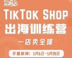 疯人院:TikTok Shop出海训练营（一店卖全球)，出海抢占全球新流量-林文副业站
