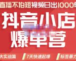推易电商·2022年抖音小店爆单营，不直播、不拍短视频、日出1000单，暴力玩法-林文副业站