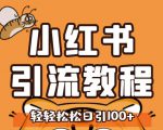 小红书运营引流全系列课程，每天引流100精准粉-林文副业站
