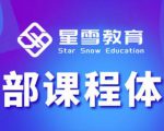 星雪教育淘系高级班，更全的运营提升方案，零基础由浅入深，店铺最新玩法-林文副业站