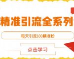 闲鱼精准引流全系列课程，每天引流100精准粉【视频课程】-林文副业站