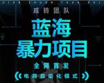 引流哥蓝海暴力躺赚项目：无需发圈无需引流无需售后，每单赚50-500（教程+线报群)-林文副业站