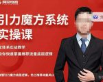 阿呆-引力魔方系统实操课，全体系实战教学，助你快速掌握推荐流量底层逻辑-林文副业站