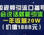 安妈·短视频引流口播号，会说话就能引流，一年收益20W（价值1888元）-林文副业站