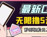 【高端精品】最新无撸5元E卡项目，无限接码秒到，一单利润3.5，轻松日入破千-林文副业站