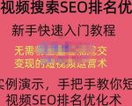 宋老师·短视频搜索SEO优化，教你10分钟创作一个短视频，三天排名上第一-林文副业站