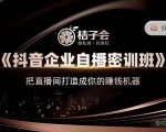 桔子会《抖音企业自播密训班》，把直播间打造成你的赚钱机器-林文副业站