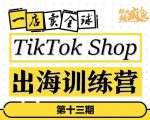 TikTokShop出海训练营（第十三期），打开全球流量新思维，出海抢占全球新流量，一店卖全球-林文副业站