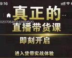 李扭扭超硬核的直播带货课，零粉丝快速引爆抖音直播带货-林文副业站