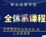 郑芳老师·网红美容院全套营销落地课程，多年美容院运营经验，线上浓缩课程-林文副业站