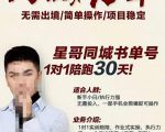 星哥同城教育书单号课程，无需出境简单操作项目稳定-林文副业站