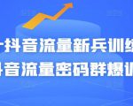 Peter抖音流量新兵训练营-破解抖音流量密码群爆训练营（新兵）-林文副业站