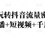 2022玩转抖音流量密码，(直播+短视频+千川)-林文副业站