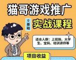 猫哥·游戏推广实战课程，单视频收益达6位数，从0到1成为优质游戏达人-林文副业站