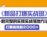 凌童《新品打爆实战班》,一套完整的实操实战落地方法，打爆链接超2000+（28节课)-林文副业站