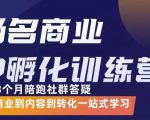 杨名商业IP孵化训练营，从商业到内容到转化一站式学 价值5980元-林文副业站