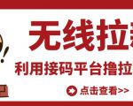 最新接码无限拉新项目，利用接码平台赚拉新平台差价，轻松日赚500+-林文副业站