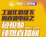 尼克派·工业化思维下的直播电商之短视频锤爆直播间，听话照做执行爆单-林文副业站