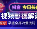 嚴如意·中视频影视解说—掌握流量密码，自媒体运营创收，批量运营账号-林文副业站