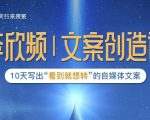 李欣频|文案创造课，0基础可报10天写出“看到就想转”的自媒体文案-林文副业站