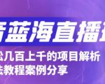 抖音最新蓝海直播玩法，3分钟赚30元，一天轻松1000+，只要你去直播就行【详细玩法教程】-林文副业站