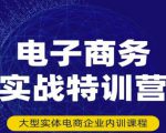 民赛电气内部出品：电子商务实战特训营，全方位带你入门电商，308种方式玩转电商-林文副业站