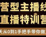 直播电商运营型主播特训营，0基础15天手把手带你做直播带货-林文副业站