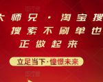 电商大师兄·淘宝搜索新玩法，搜索不刷单也能真正做起来-林文副业站