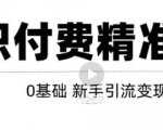 玩转知识付费项目精准引流，给你1套课多账号操作落地方案！-林文副业站