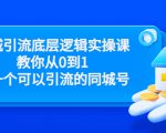 同城引流底层逻辑实操课，教你从0到1做一个可以引流的同城号（价值4980）-林文副业站
