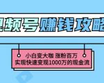 玩转微信视频号赚钱：小白变大咖涨粉百万实现快速变现1000万的现金流-林文副业站