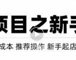 虚拟项目快速起店模式，0成本打造月入几万虚拟店铺！-林文副业站
