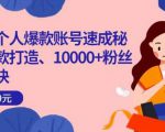 小红书个人爆款账号速成秘籍，爆款打造、10000+粉丝引流秘诀-林文副业站