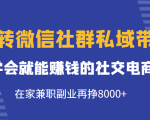 玩转微信社群私域带货，学会就能赚钱的社交电商，在家兼职副业再挣8000+-林文副业站