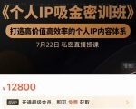个人IP吸金密训班，打造高价值高效率的个人IP内容体系（价值12800元）-林文副业站