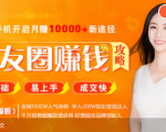 全网千万人气导师亲授：零基础/易上手的朋友圈赚钱攻略，让你轻松月入过万-林文副业站