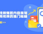 带货短视频爆款内容策划，关于电商视频的独门秘籍（价值499元）-林文副业站